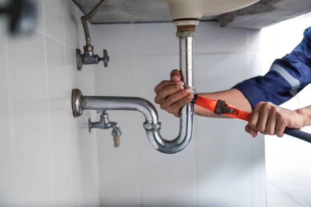 Best Emergency Plumbing Repair  in Corunna, MI